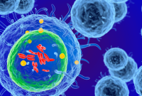 8 Surprising Habits That Boost Your Immune System Naturally | LifeHack Guru How To Boost Your Immune System Naturally