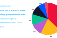 Why Streaming Services Keep Removing Content